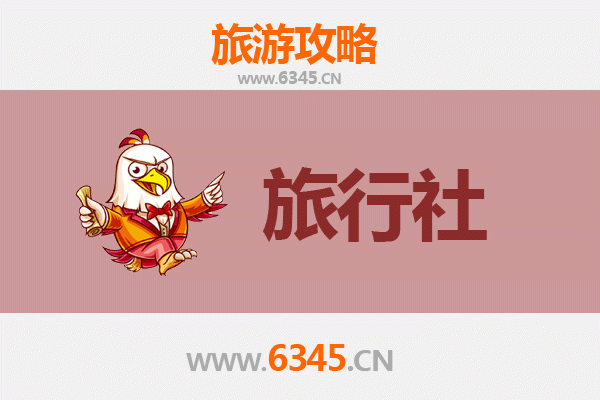 呼和浩特玉泉区旅行社精选推荐：畅游草原之都的完美指南